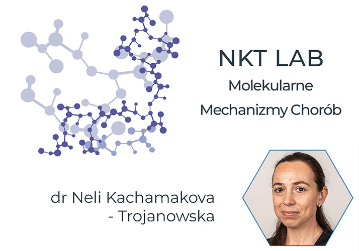 Kachamakova-Trojanowska Lab | Molekularne Mechanizmy Chorób | Komórkowe modele chorób oparte o Indukowane Pluripotencjane Komórki Macierzyste (iPSCs)